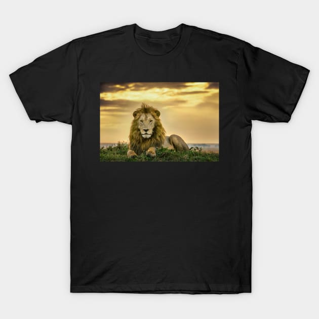 The King T-Shirt by njones